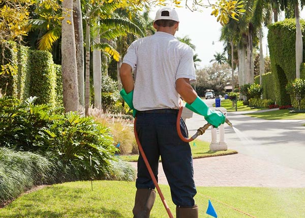 About Manor PA Pest Control